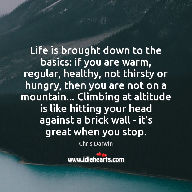 Life is brought down to the basics: if you are warm, regular, Chris Darwin Picture Quote