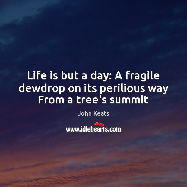 Life is but a day: A fragile dewdrop on its perilious way From a tree’s summit John Keats Picture Quote