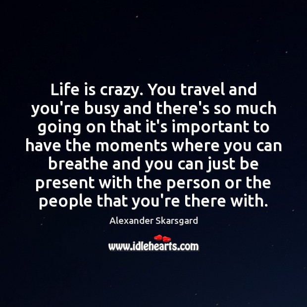 Life is crazy. You travel and you’re busy and there’s so much Alexander Skarsgard Picture Quote