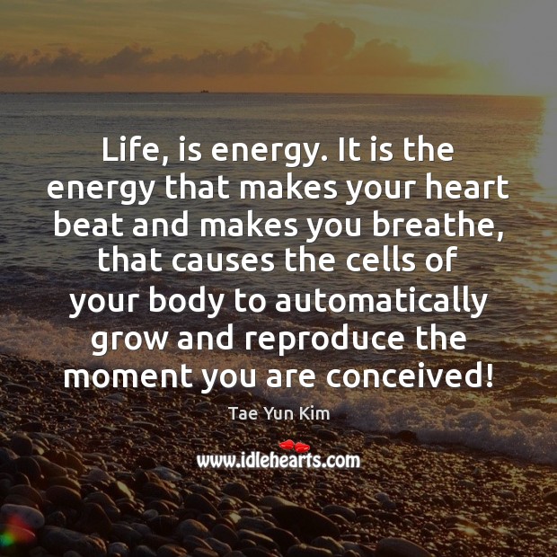 Life, is energy. It is the energy that makes your heart beat Tae Yun Kim Picture Quote