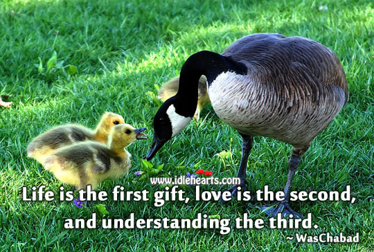 Life is the first gift WasChabad Picture Quote