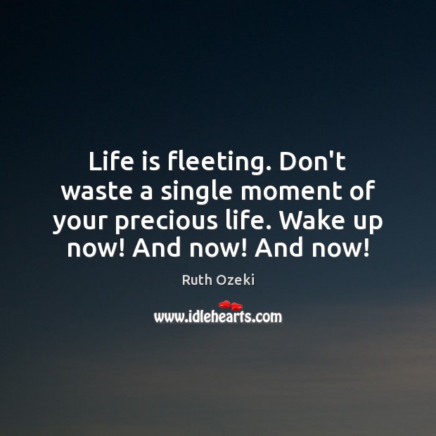 Life is fleeting. Don’t waste a single moment of your precious life. Ruth Ozeki Picture Quote