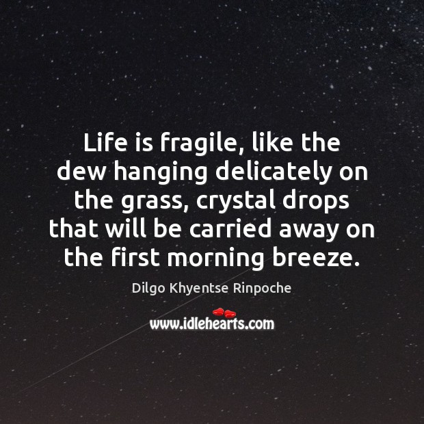 Life is fragile, like the dew hanging delicately on the grass, crystal Dilgo Khyentse Rinpoche Picture Quote
