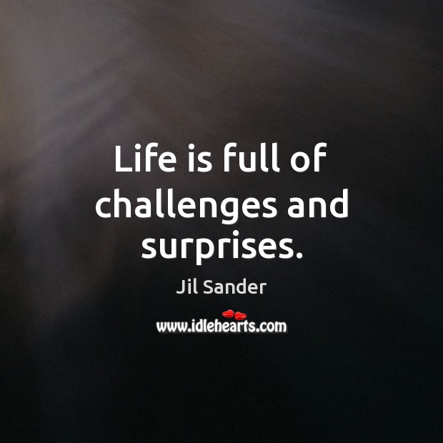 Life is full of challenges and surprises. Jil Sander Picture Quote