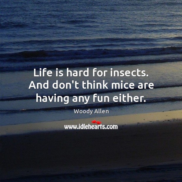 Life is hard for insects. And don’t think mice are having any fun either. Life is Hard Quotes Image