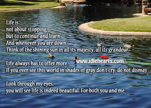 Look through my eyes… Life is beautiful Life Quotes Image