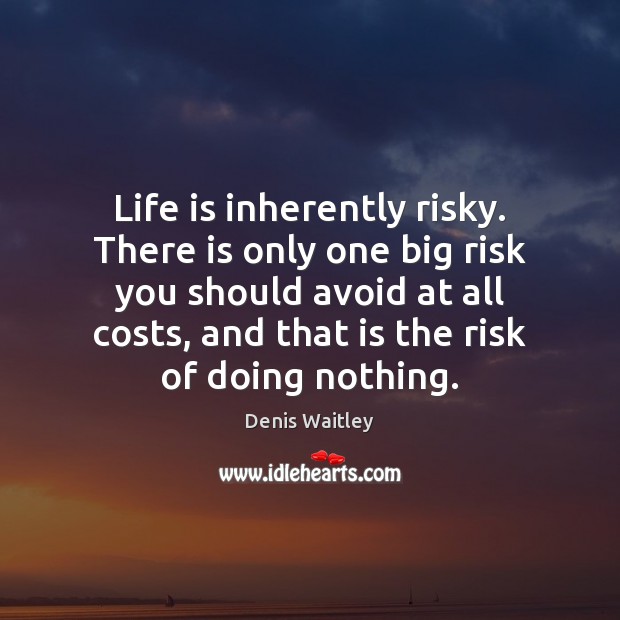 Life is inherently risky. There is only one big risk you should Denis Waitley Picture Quote