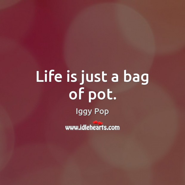 Life is just a bag of pot. Iggy Pop Picture Quote