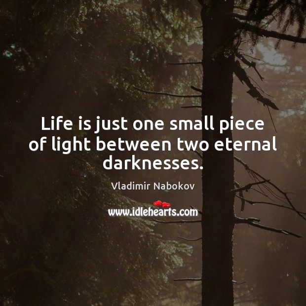 Life is just one small piece of light between two eternal darknesses. 
