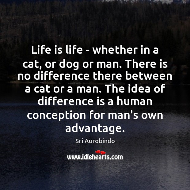 Life is life – whether in a cat, or dog or man. Sri Aurobindo Picture Quote