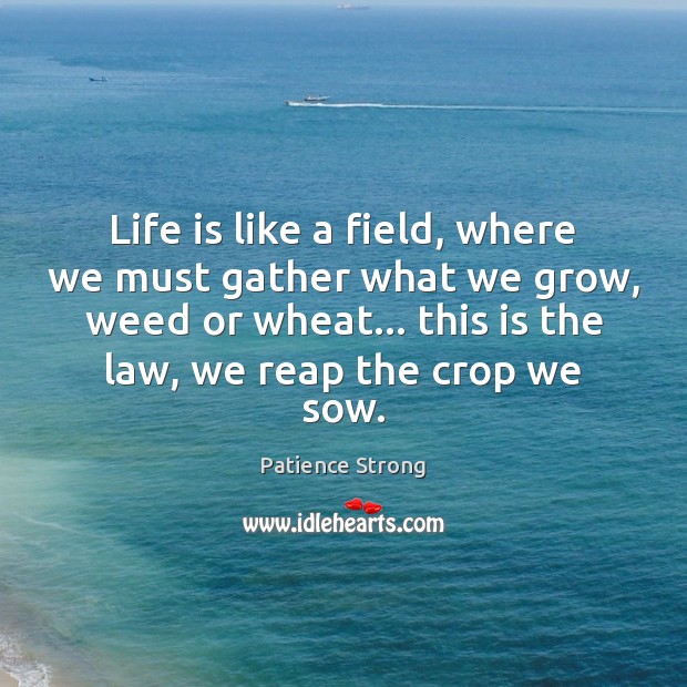Life is like a field, where we must gather what we grow, Patience Strong Picture Quote