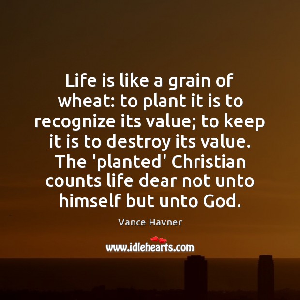 Life is like a grain of wheat: to plant it is to Vance Havner Picture Quote