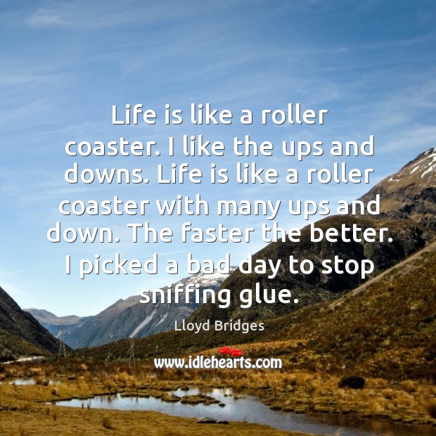 Life is like a roller coaster. I like the ups and downs. Lloyd Bridges Picture Quote
