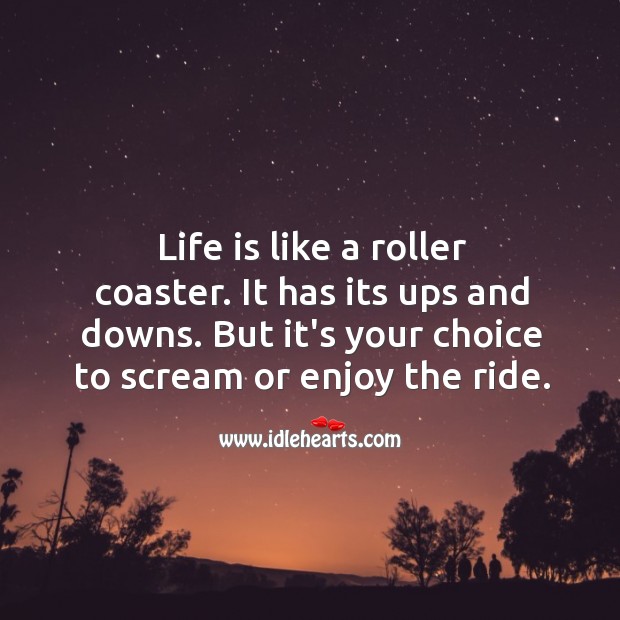 Life is like a roller coaster. 