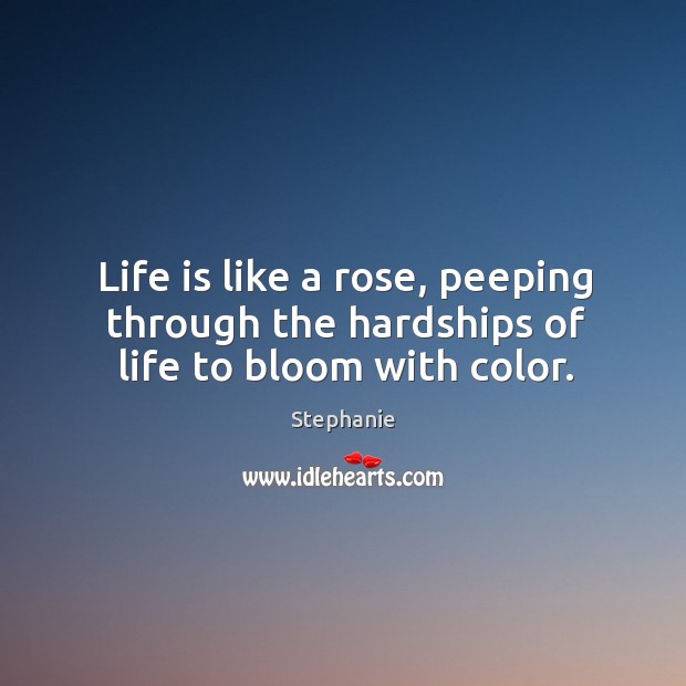 Life is like a rose, peeping through the hardships of life to bloom with color. Stephanie Picture Quote
