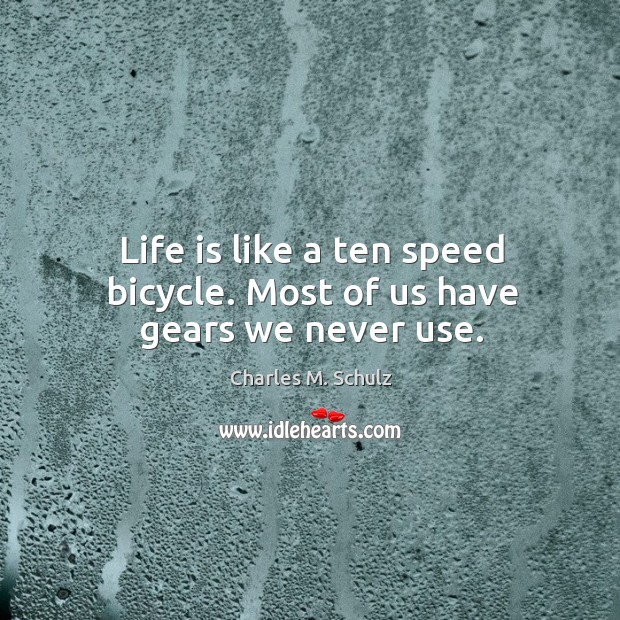 Life is like a ten speed bicycle. Most of us have gears we never use. 