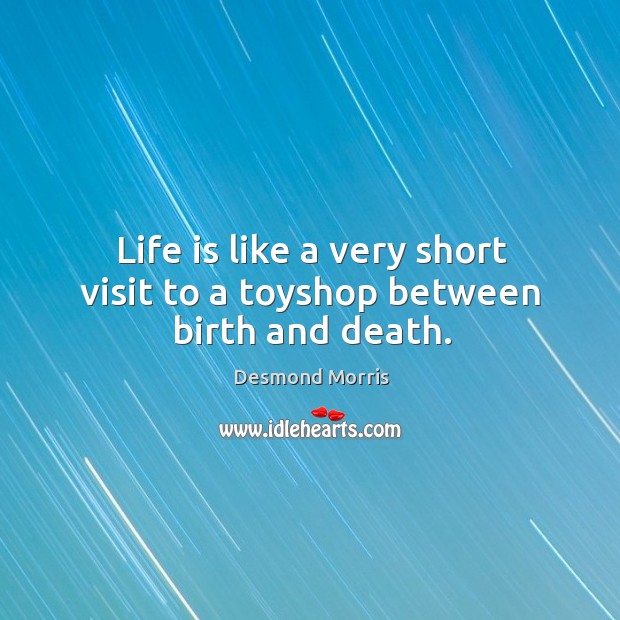 Life is like a very short visit to a toyshop between birth and death. Desmond Morris Picture Quote