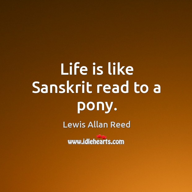 Life is like sanskrit read to a pony. Lewis Allan Reed Picture Quote