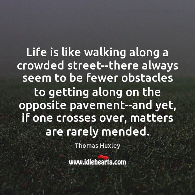 Life is like walking along a crowded street–there always seem to be Thomas Huxley Picture Quote