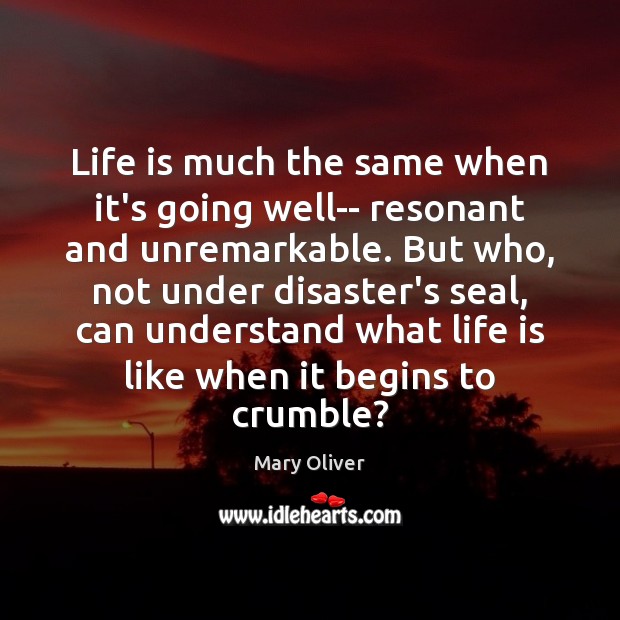 Life is much the same when it’s going well– resonant and unremarkable. Mary Oliver Picture Quote