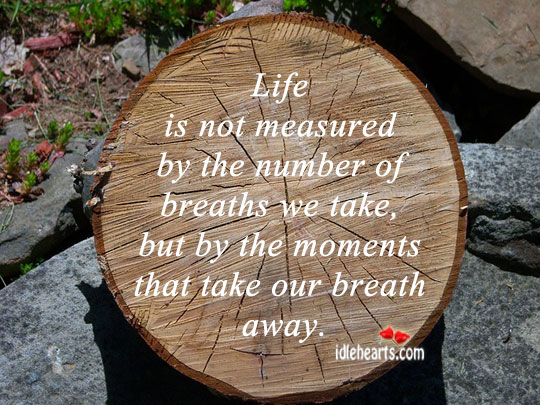 Life is measured by moments Life Quotes Image