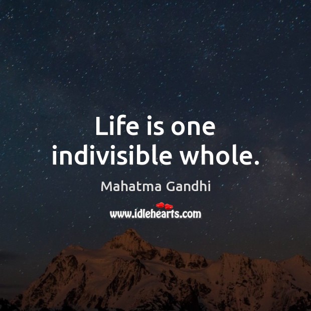 Life is one indivisible whole. Image