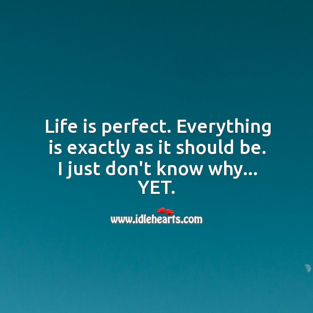 Life is perfect. Everything is exactly as it should be. Life Quotes Image