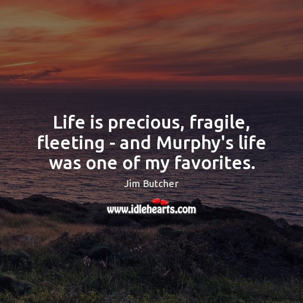Life is precious, fragile, fleeting – and Murphy’s life was one of my favorites. Jim Butcher Picture Quote