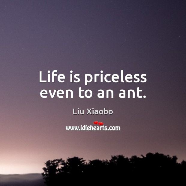 Life is priceless even to an ant. Liu Xiaobo Picture Quote