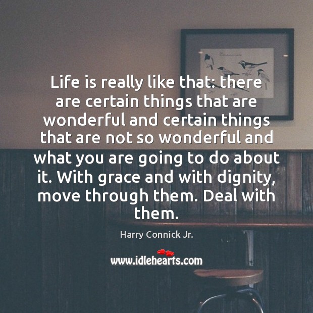 Life is really like that: there are certain things that are wonderful Harry Connick Jr. Picture Quote