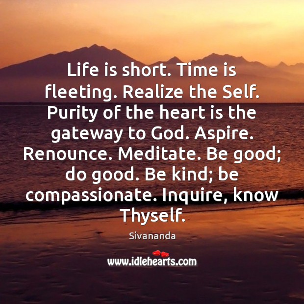 Life is short. Time is fleeting. Realize the Self. Purity of the Good Quotes Image