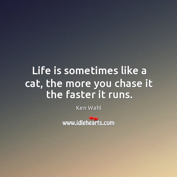 Life is sometimes like a cat, the more you chase it the faster it runs. Ken Wahl Picture Quote