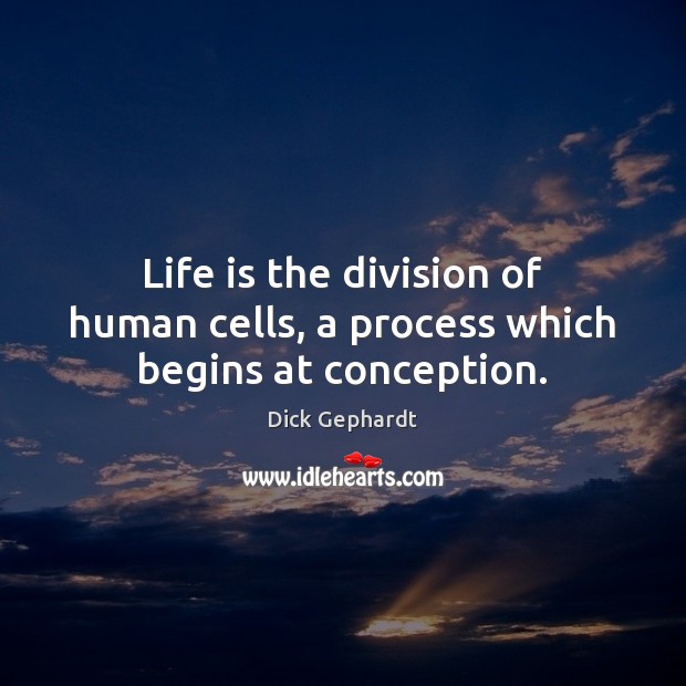 Life is the division of human cells, a process which begins at conception. Dick Gephardt Picture Quote