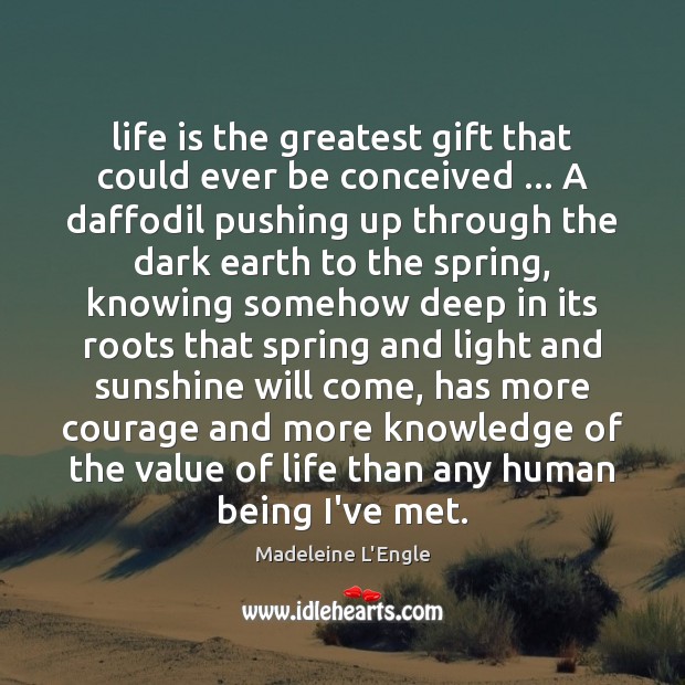 Life is the greatest gift that could ever be conceived … A daffodil Madeleine L’Engle Picture Quote