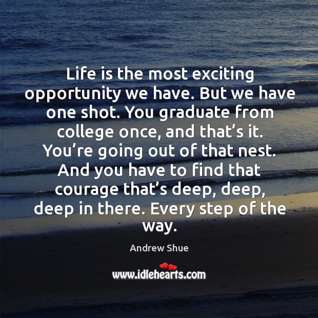 Life is the most exciting opportunity we have. But we have one shot. Andrew Shue Picture Quote