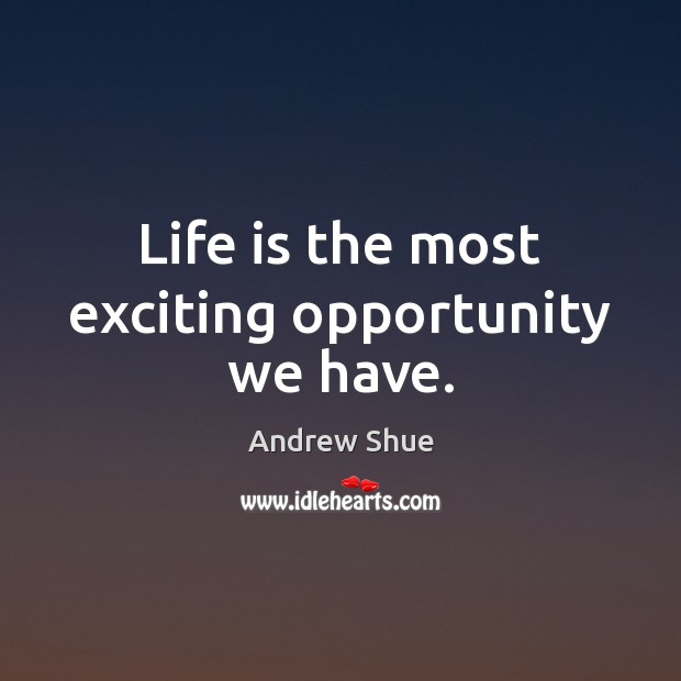 Life is the most exciting opportunity we have. Andrew Shue Picture Quote