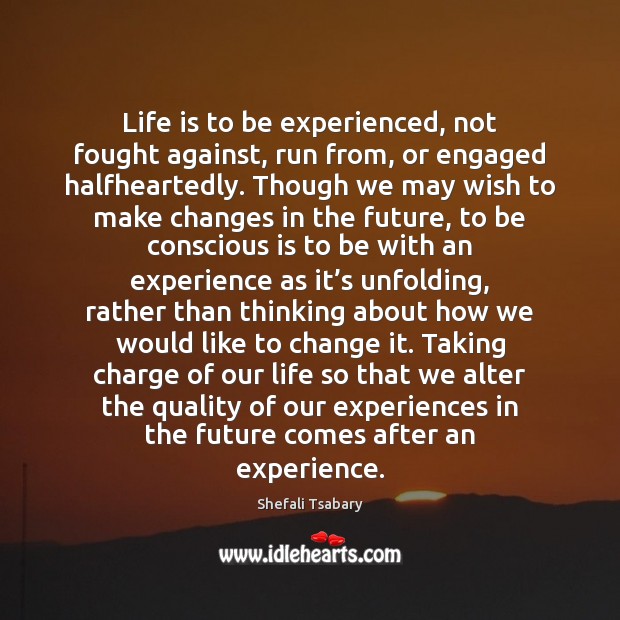 Life is to be experienced, not fought against, run from, or engaged Future Quotes Image