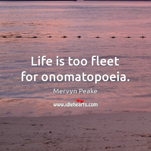 Life is too fleet for onomatopoeia. Image
