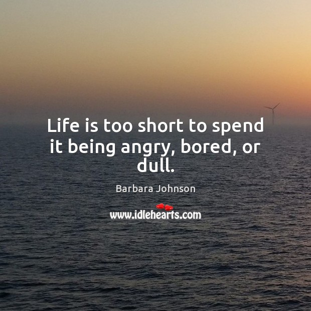Life is too short to spend it being angry, bored, or dull. Barbara Johnson Picture Quote