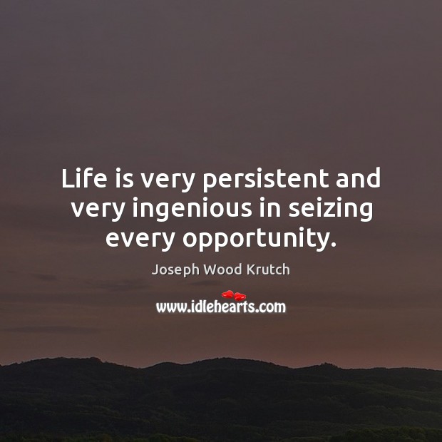 Life is very persistent and very ingenious in seizing every opportunity. Image