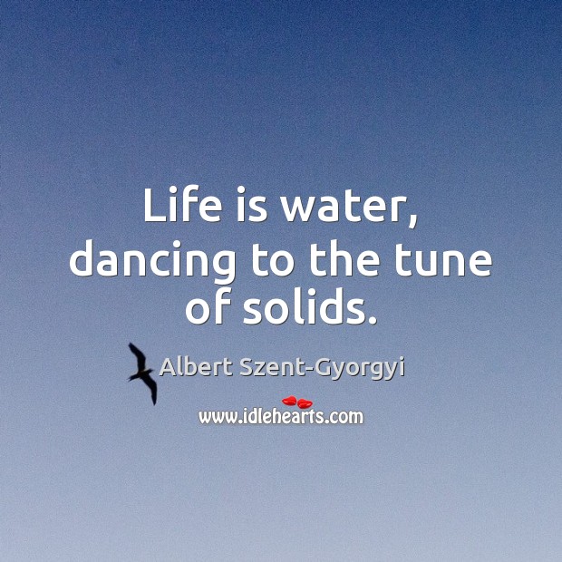 Life is water, dancing to the tune of solids. Image