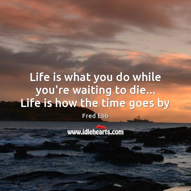 Life is what you do while you’re waiting to die… Life is how the time goes by Fred Ebb Picture Quote