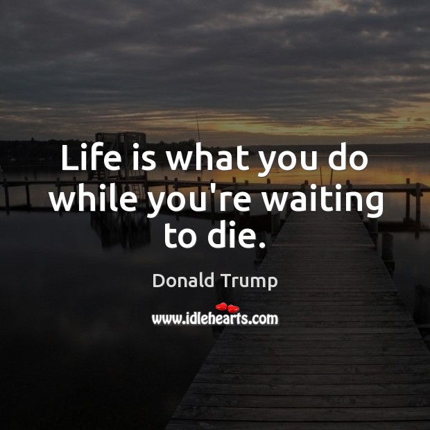 Life is what you do while you’re waiting to die. Image
