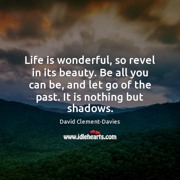 Life is wonderful, so revel in its beauty. Be all you can Let Go Quotes Image