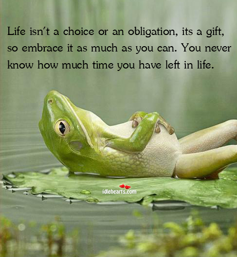 Life isn’t a choice or an obligation, its a gift, so Gift Quotes Image