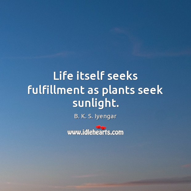 Life itself seeks fulfillment as plants seek sunlight. B. K. S. Iyengar Picture Quote