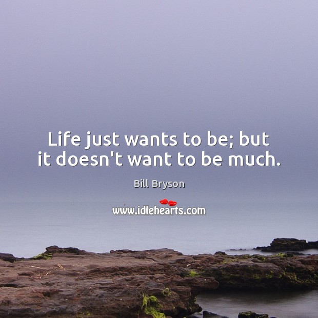 Life just wants to be; but it doesn’t want to be much. Bill Bryson Picture Quote