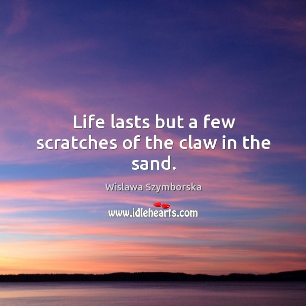 Life lasts but a few scratches of the claw in the sand. Image
