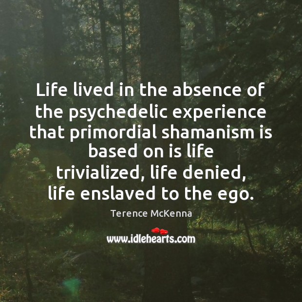 Life lived in the absence of the psychedelic experience that primordial shamanism Terence McKenna Picture Quote