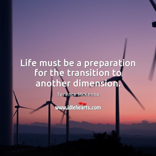 Life must be a preparation for the transition to another dimension. Terence McKenna Picture Quote